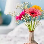 Ranjan Bhatt - @ranjan.bhatt.965 - Instagram