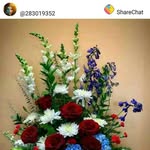 Ranjan Misra - @ranjanmisra4 - Instagram