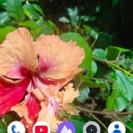 Ranjit Acharya - @ranjitacharya70 - Instagram