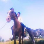 banna araba - @pusu_karnot_bhanu_ranjit_deora - Instagram