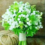 R D - @ranjit.deora - Instagram