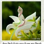 Ranjit deora - @deora_ranjit - Instagram