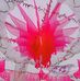Ranjit Devra - Facebook