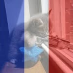 Branko Kos - @branko.kos.52 - Instagram