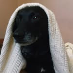 Ransom Smith - @ransom.smith - Instagram