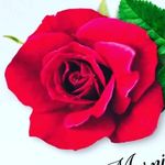 Ranu Sharma - @ranu__sharma12 - Instagram
