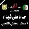 raouftabib707 - @raouftabib707 - TikTok