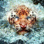 Raoul Smith - @raouls32 - Instagram