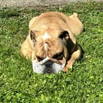 Raoul Thomas Verdoucq - @raoul_ma_poule62 - Instagram