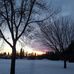 Raoul Wallenberg Park - Facebook