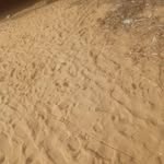 Raphael Amey - @raphaelamey163 - Instagram