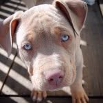 Raphael Andrews - @raph302 - Instagram