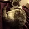 Raphael Andrews - @raphael.andrews7 - TikTok