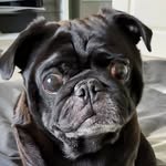 Bosco Raphael Armstrong - @bosco_raphael - Instagram