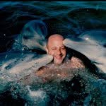 @raphaelavigdor - Instagram