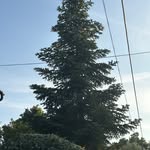 Raphael Baker - @rgb_981 - Instagram