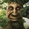 raphaelbaker1 - @raphaelbaker1 - TikTok