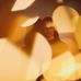 Raphaelle Beauvais - Facebook