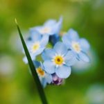Raphael Bennett - @0________photography_________0 - Instagram