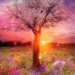 Benton Raphael - Facebook
