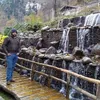 Rajveer@2511 - @raphael.bernabe117 - TikTok