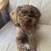 Raphaelle Bernier - Facebook