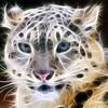 Raphael Calderon - @raphael.calderon6 - TikTok