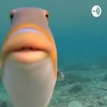 Raphael Caldwell - @dumazz_phish - Instagram