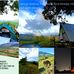 Casa Raphael Nature Camp  - Facebook