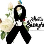 Rafael Espinoza - @raphael_espinoza - Instagram