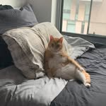 @raphaelhendrixx - Instagram