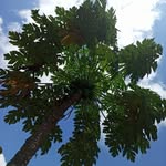 Raphael Hudson - @ephraim3565 - Instagram