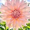 Raphael Kelly - @raphael.kelly42 - TikTok