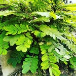 RAPHAËL LOVE - @raphaellove78 - Instagram