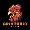 criatorio Menezes - @raphaelmenezes173 - TikTok