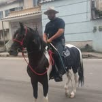 Raphael Miranda - @raphael_miranda_dias - Instagram