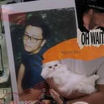 Nguyên Bảo Nguyễn - @raphael.nguyen.32 - Instagram