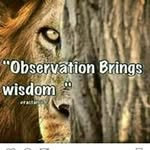 Raphael Powell - @raphael.powell - Instagram