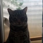 Raphael - @raphael.robbins21 - Instagram