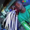 raphaelsamson430 - @samsonicbaba - TikTok