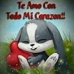 Raphael Suarez - @suarez.raphael - Instagram
