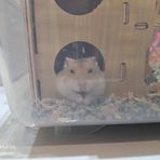 Raphael Thien Tam Tran - Facebook