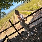 Raquel AS - @raquel.anton_ - Instagram