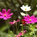 Raquel Baron - Facebook