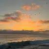 Raquel_bell - @raquel_bell - TikTok