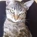 Raquel Busch - Facebook