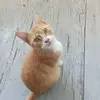 raquelcarr6 - @raquelcarr6 - TikTok