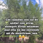Raquel Carrera - Facebook