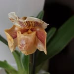 raquel carson - @carson171gbvcb - Instagram