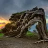 Raquel - @raquelcejas72 - TikTok